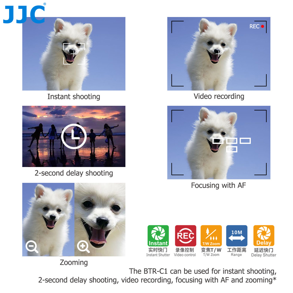 JJC BR-E1 Control remoto Bluet - Canon Camera Eos R8 reseña y precio
